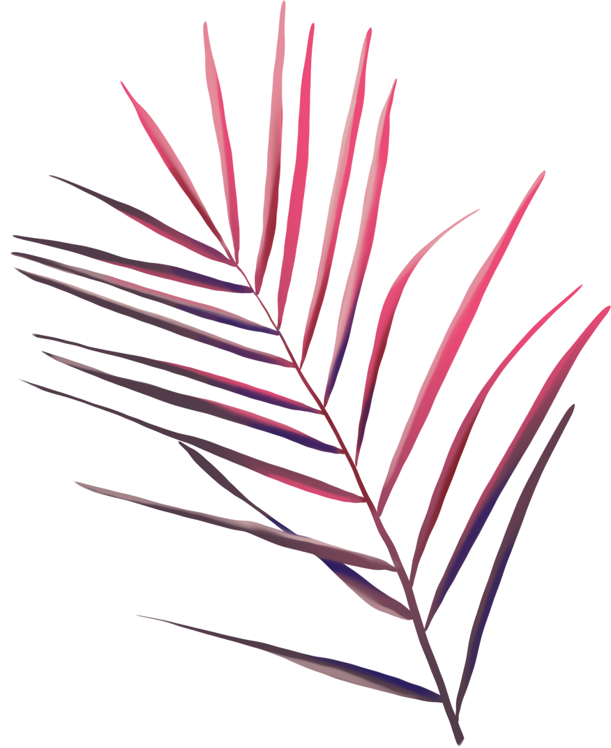 Watercolor pink palm leaf. Tropical foliage